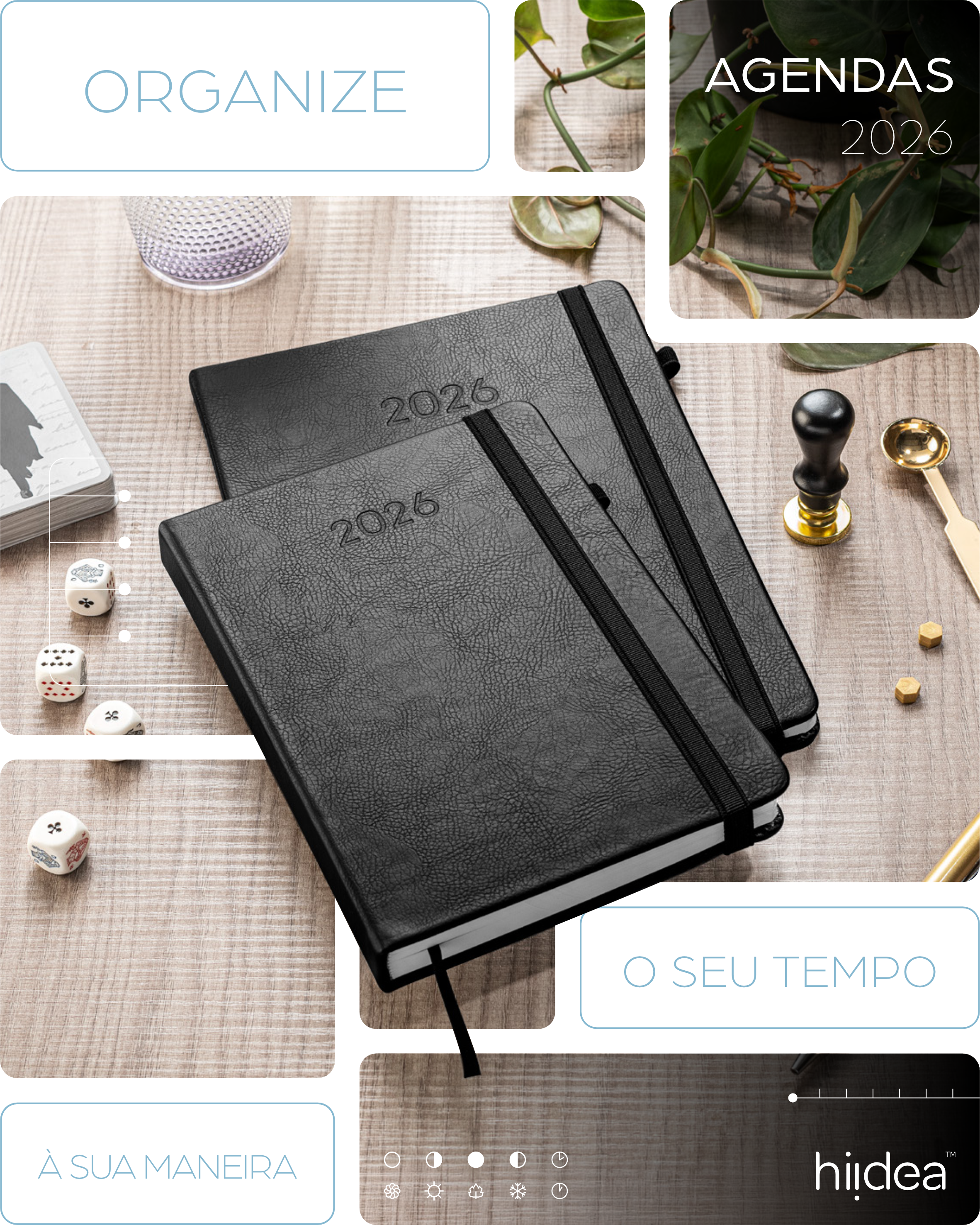 HIDEA AGENDAS